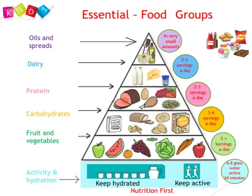 "Mission for Nutrition" – workshop infantil pelo Zoom