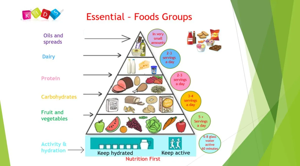 Educação em nutrição e saúde – Parte 2